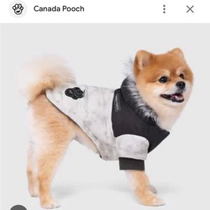 Canada Pooch Winter Dog Coat - White/Gray, Size 10”/ Small